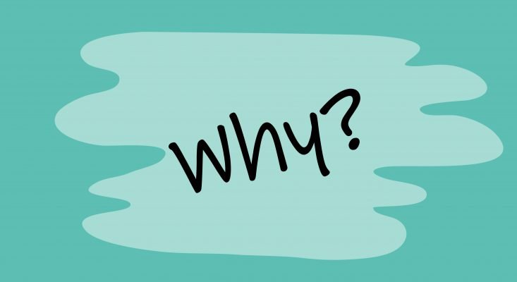 Why is it important to know anatomy for figure drawing Lillian Gray