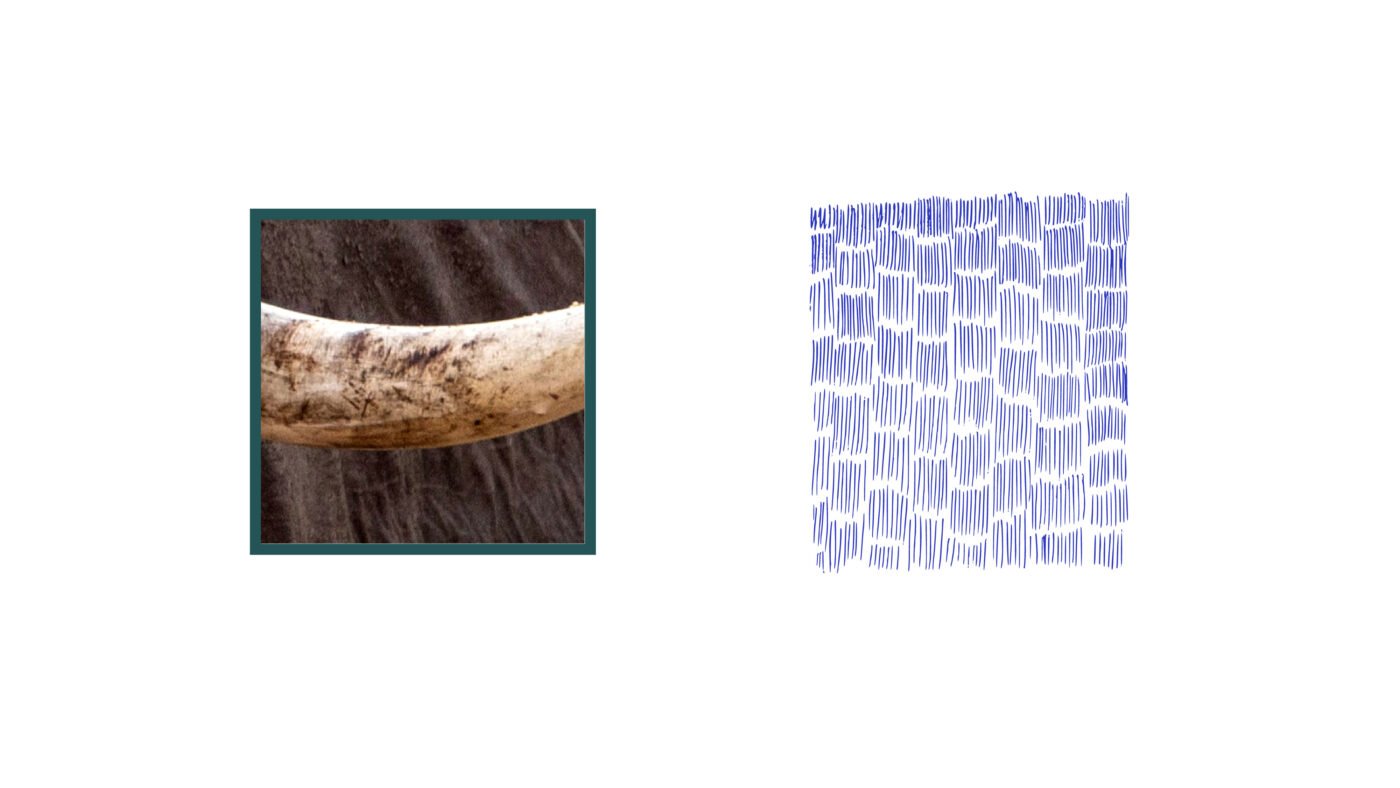 ballpoint pen, drawing, elephant, tusk
