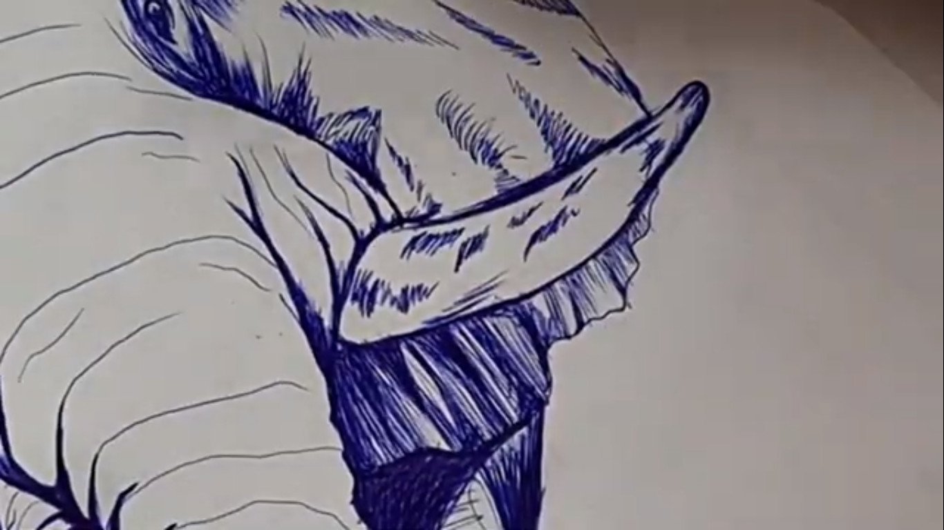 Ballpoint pen drawing