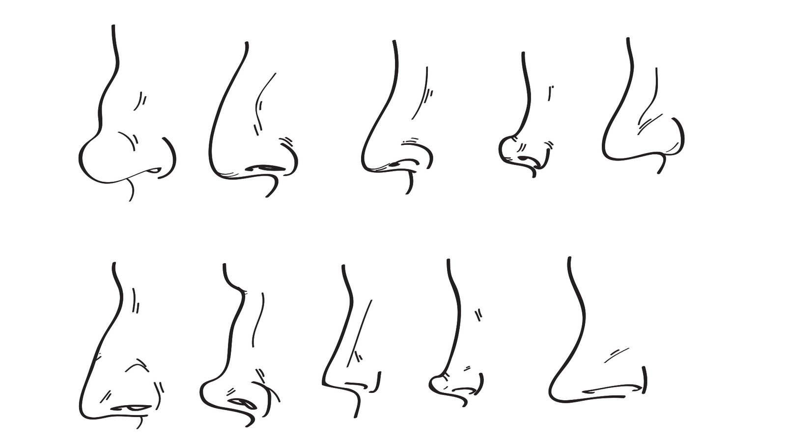 Lesson 13 I How to Draw a Nose - Lillian Gray - Art School