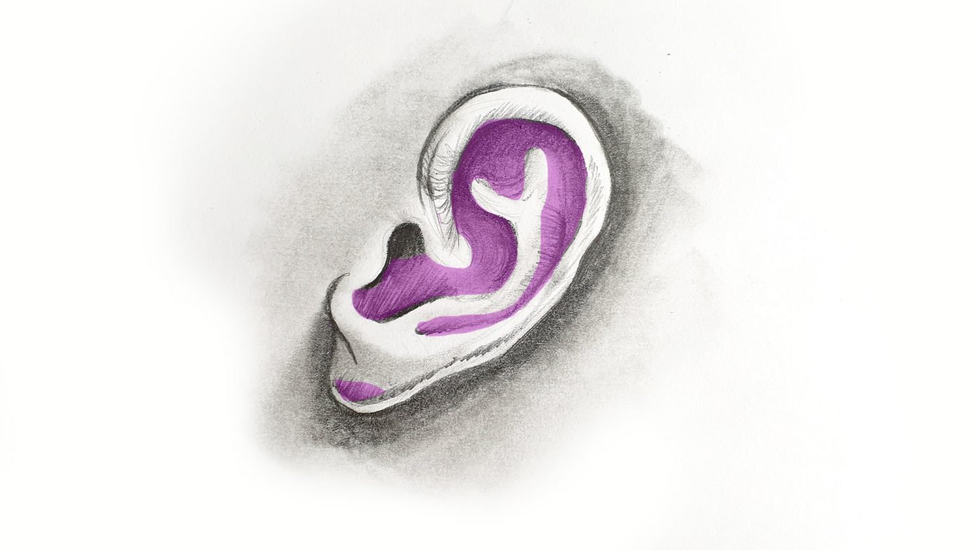 Human Ear Sketch Images – Browse 44,340 Stock Photos, Vectors, and Video |  Adobe Stock