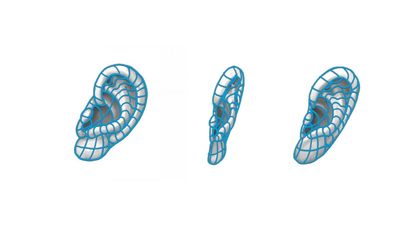 Drawing of an ear broken down into planes