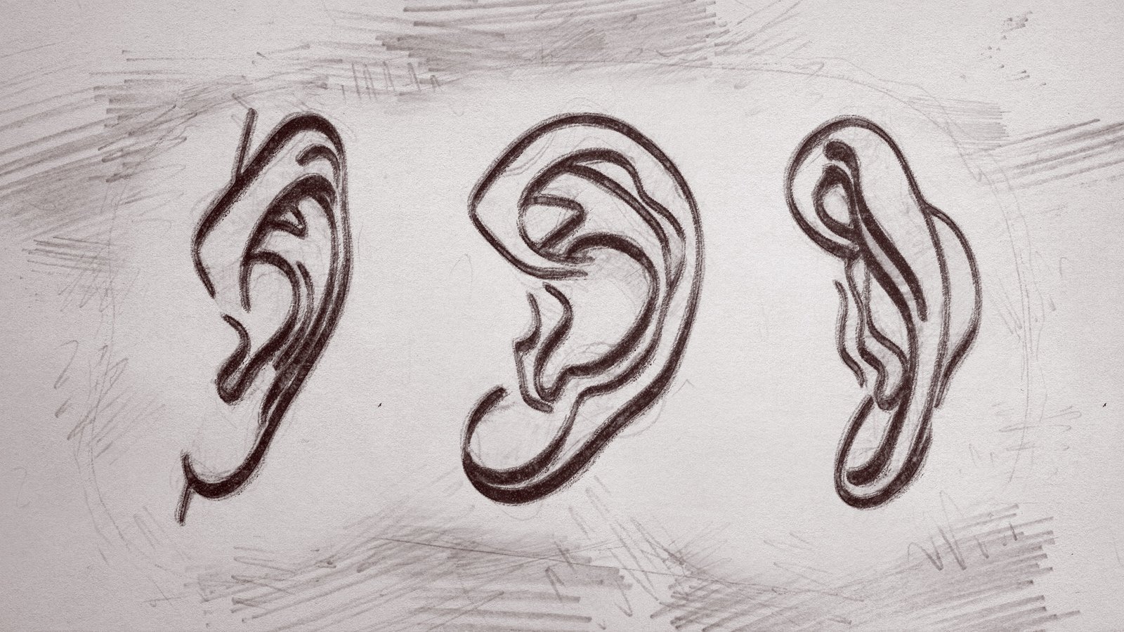 Lesson 15 I How to Draw ears - Lillian Gray - Art School
