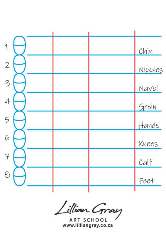 Drawing Human Proportions Calculator